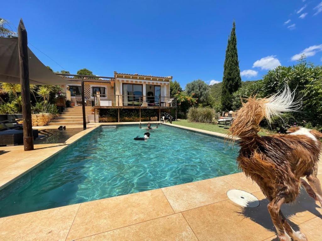 El Paraiso De Los Perros Polop Εξωτερικό φωτογραφία